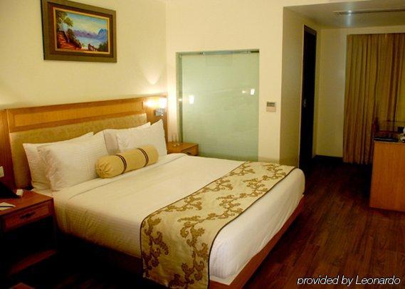 Comfort Inn Anneha ニューデリー 部屋 写真